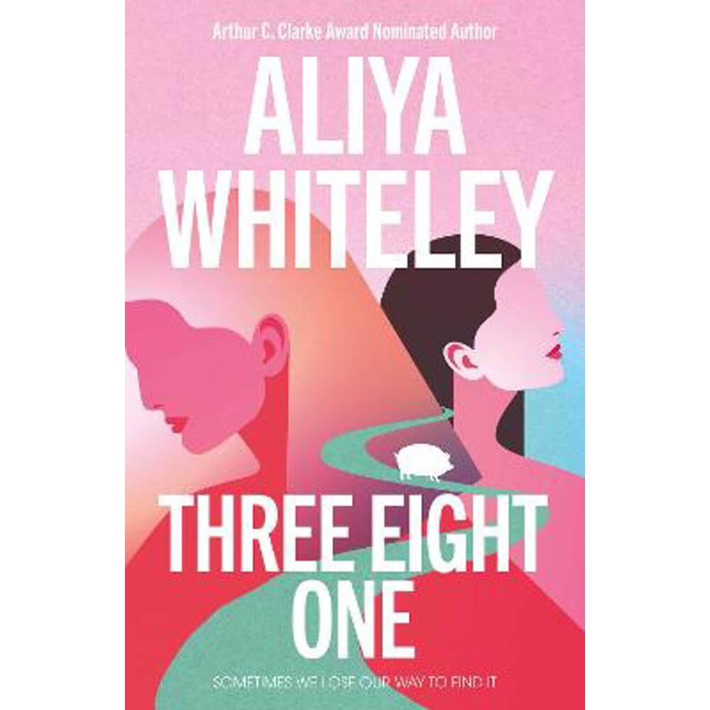 Three Eight One (Paperback) - Aliya Whiteley